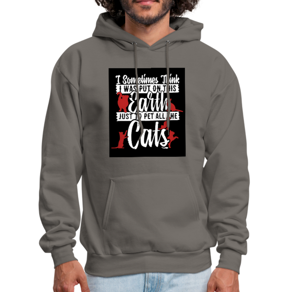 I Sometimes Think I Was Put On This Earth Just To Pet All The Cats Men's Hoodie - asphalt gray