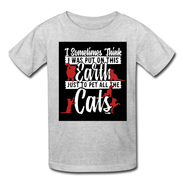 I Sometimes Think I Was Put On This Earth Just To Pet All The Cats Kids' T-Shirt - heather gray