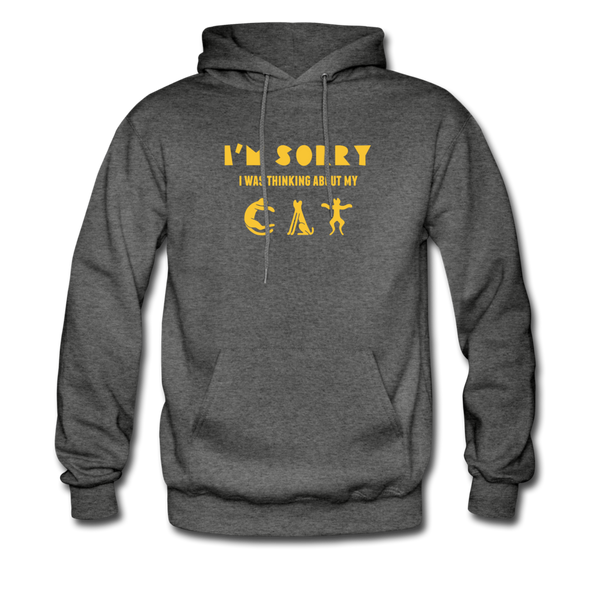 I'm Sorry I Was Thinking About My Cat Men's Hoodie - charcoal gray